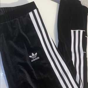 Velvet Adidas leggings